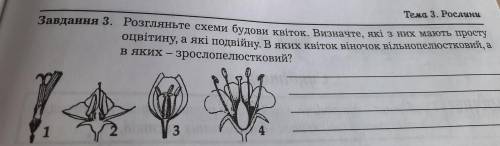 Завдання 3. Розгляньте схеми будови квіток. Визначте, які з них мають просту оцвітину, а які подвійн