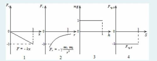 На рисунках изображены в одинаковом масштабе графики зависимости сил упругости, тяготения, тяжести и