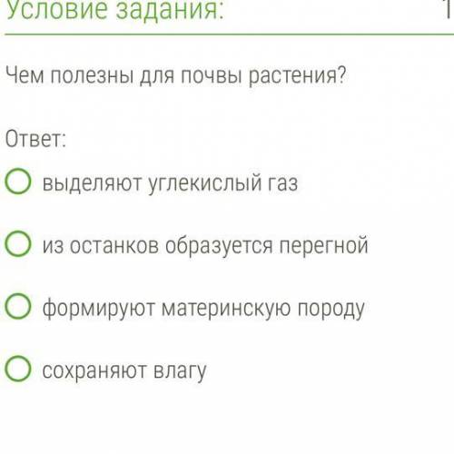 Чем полезны для почвы растения? Варианты ответов на фото