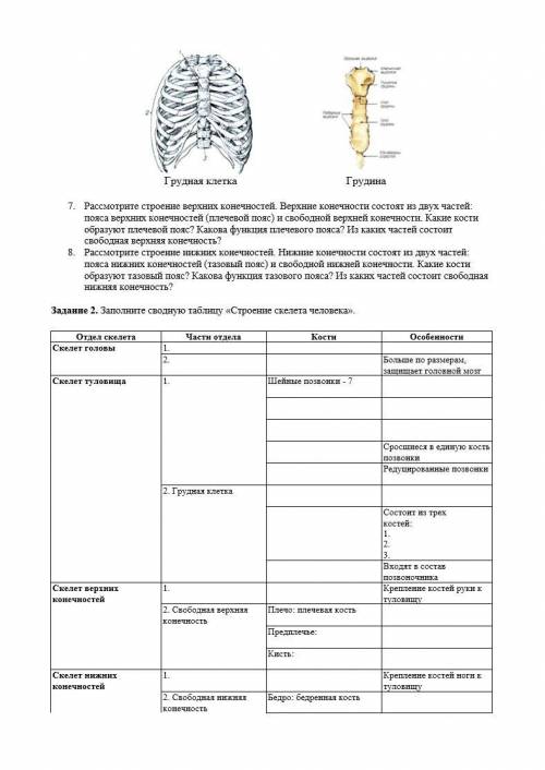 Практическая работа №2 «Строение и функции скелета человека». Нужна .