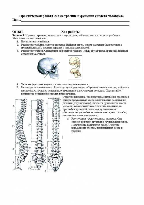 Практическая работа №2 «Строение и функции скелета человека». Нужна .