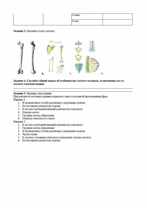 Практическая работа №2 «Строение и функции скелета человека». Нужна .