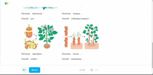 все в неправильном порядке.