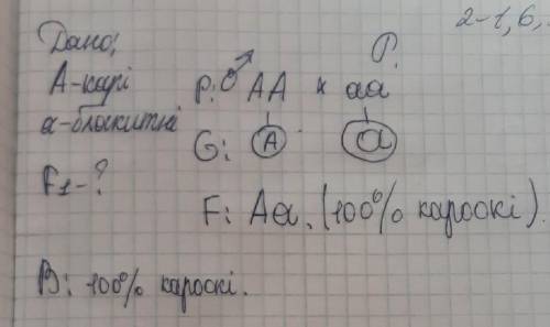 1. У людини карий колір очей домінує над блакитним. Які очі матимуть діти від шлюбу кароокого чолові