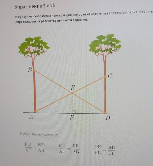 На рисунке изображена конструкция, которая находится в веревочном парке. Изучи ее и определи, какие