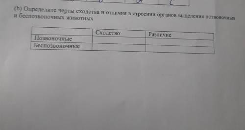 (b) Определите черты сходства и отличия в строении органов выделения позв и беспозвоночных животных 