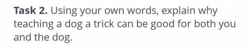 Using your own words, explain why teaching a dog a trick can be good for both you and the dog.