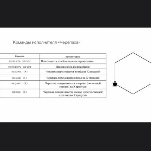 Опишите алгоритм для исполнителя черепаха который строит правильный шестиугольник.