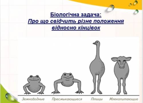 Про що свідчить різне положення відносно кінцівок???