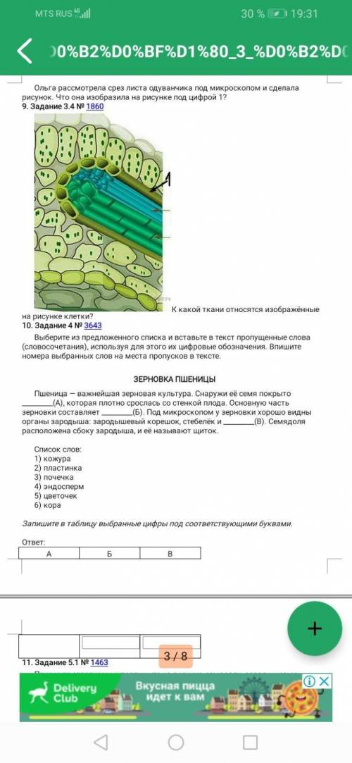 Впр биология 6 класс можете решить