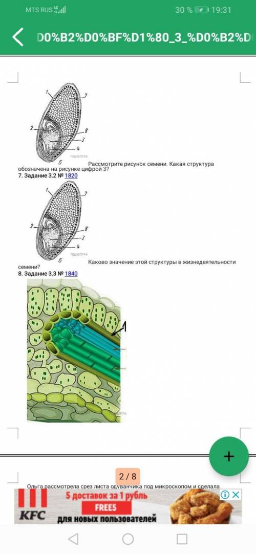 Впр биология 6 класс можете решить