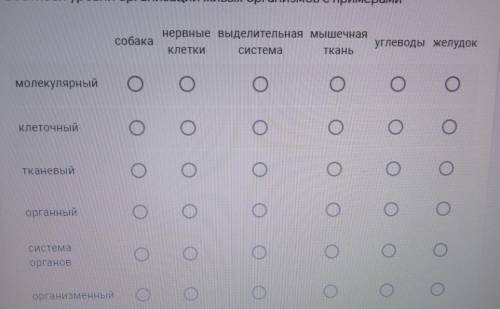 вас потому что я не знаю как мне тут что-то делать потому что я не шарю Так что