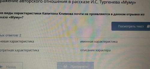 Выражение авторского отношения в рассказе И.С. Тургенева «Муму» Какие виды характеристики Капитона К