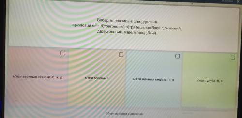 Оберіть правильні ствердження