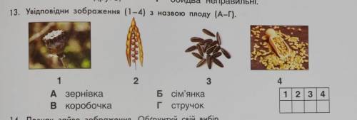 Увідповідни зображення (1-4) з назвою плоду (А-Г)