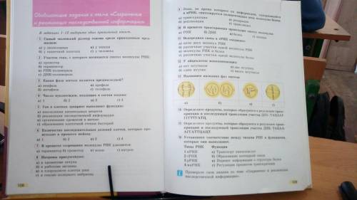 Тест по биологии по теме:сохранение и реализация наследственной информации