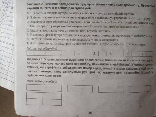 Послідовність руху крові по великому колу кровообігу