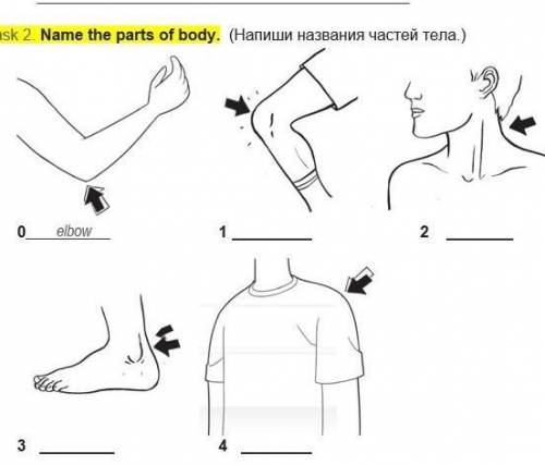 Task 2 Name the parts of bоdу. (Напиши названия частей тела.) 0 elbow 1 2 3 4 помагите нужно сделать