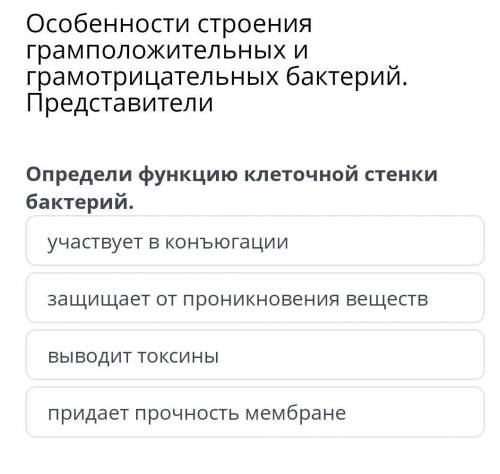 Определите функцию клеточной стенки у бактерий