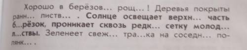 окончание имён прилагательных женского рода выделить