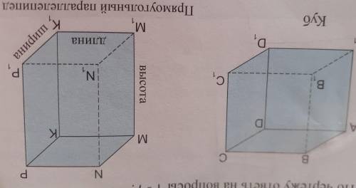 Перечисли параллельные ребра в кубе и прямоугольном параллелепипеде.