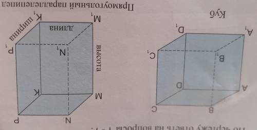 Перечисли равные грани В кубе и прямоугольном параллелепипеде.