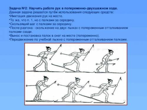 расписать в тетраде технику попеременного хода скользящим и ступающим шагом (двухшажный, четырехшажн