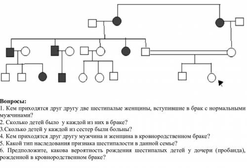 дать ответы на вопросы к задаче)