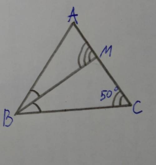 Дан треугольник АВС равнобедренный, ВМ-биссектриса, угол С=50°. Найдите угол М