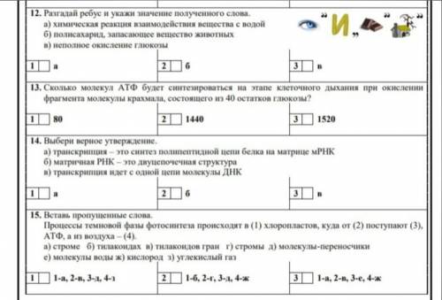 Решить задания по биологии