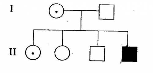 На схемі наведено успадкування дальтонізму у людини. Визначте генотипи батьків та нащадків. Розрахуй