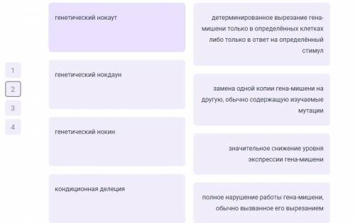 Установите соответствие между генетическим термином и его определением.