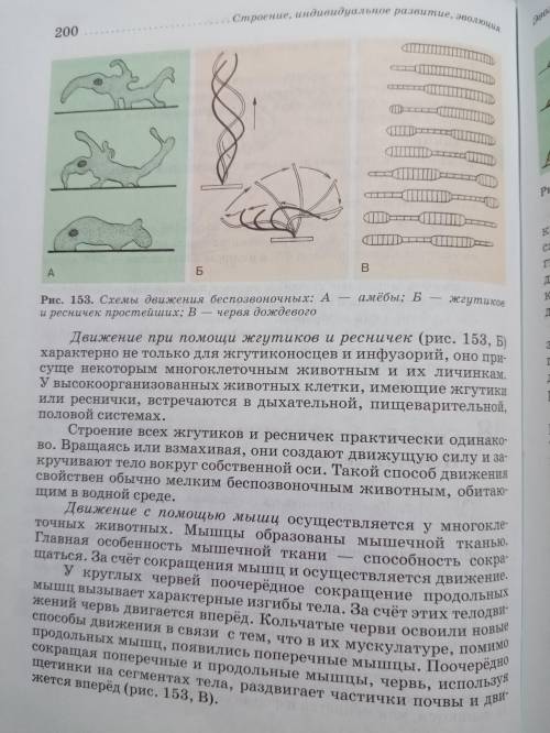 Биология 7 класс, составить конспект передвижения животных. Полости тела. Остался 1 час.