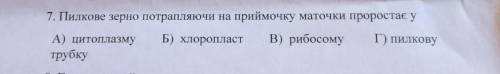 В пилкову трубку ? правильно же?