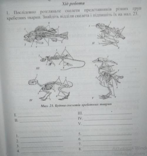 Послідовно розгляньте скелети представників різних груп хребетних тварин .Знайдіть відділи скелета і