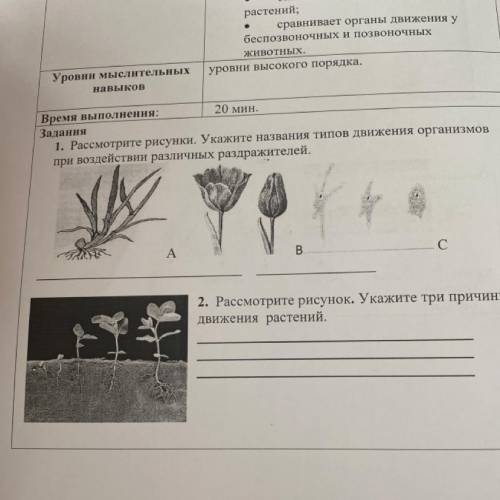 2. Рассмотрите рисунок. Укажите три причины движения растений. 2 задание