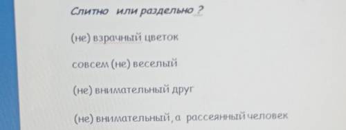 умаляю Слитно или раздельно ? (не) взрачный цветок совсем (не) веселый (не) внимательный друг (не) в