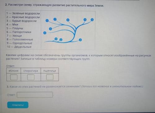 БИОЛОГИЯ 7 КЛАССДаны: яблоня, спирогира, пшеница