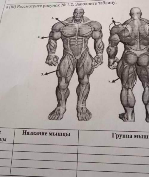 А (iii) Рассмотрите рисунок № 1.2. Заполните таблицу.