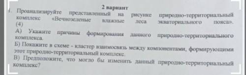 1. Проанализируйте представленный рисунке природно-территориальный комплекс «Вечнозеленые Влажные эк