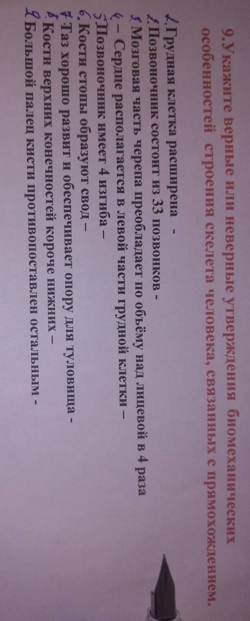 9. Укажите верные или неверные утверждения биомеханических особенностей строения скелета человека, с