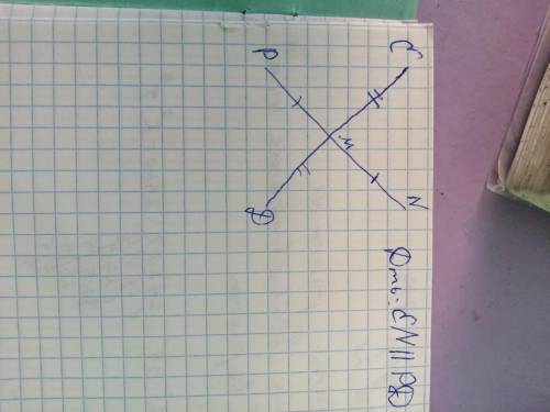 решить, доказать параллельность прямых EN и PD