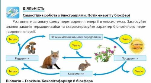 розгляньте загальну схему перетворення енергії в екосистемах . застосуйте знання законів термодинамі