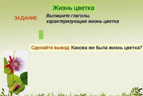 Глаголы характеризующие жизнь цветка в сказке неизвестный цветок