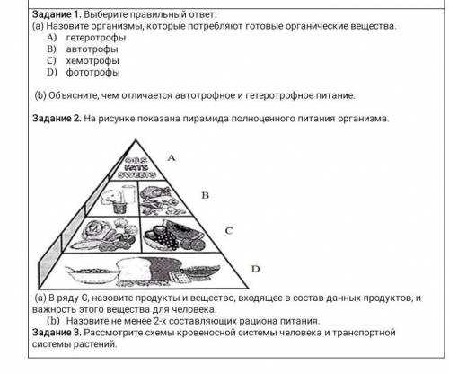 Сумативное оценивание за раздел процессы в живой природе и не живой