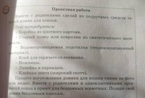 Проектная работа Вместе с родителями сделай из подручных средств те-плый домик для кошки.Тебе потреб