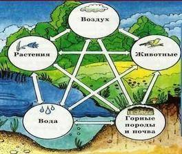 По рисункам определи закономерности географической оболочки