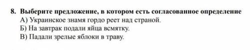 Выберите предложение, в котором есть согласованное определение