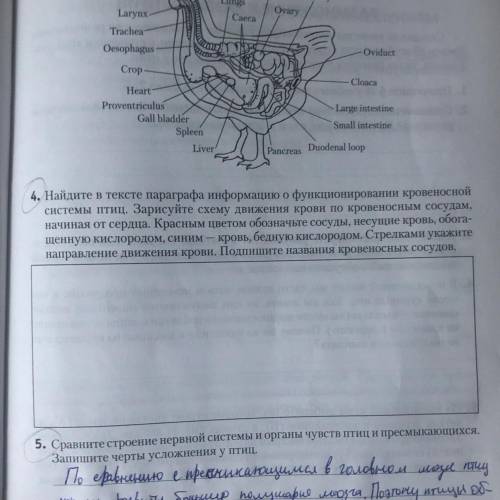 Это очень сложно будет дать ответ но кто даст Вопрос 4. Если что это 8 класс Минск. Рабочая тетрадь