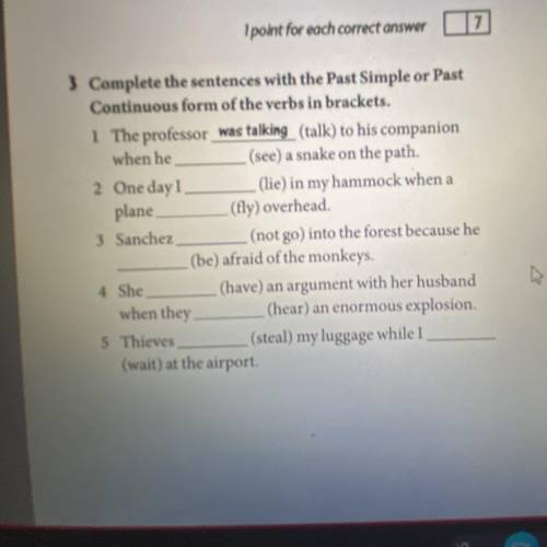 Complete the sentences with the Past Simple or Past Continuous from of the verbs in brackets